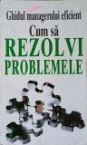 GHIDUL MANAGERULUI EFICIENT. CUM SA REZOLVI PROBLEMELE-KATE KEENAN-358646