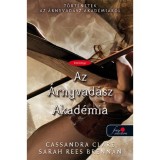 Az &Aacute;rnyvad&aacute;sz Akad&eacute;mia - T&ouml;rt&eacute;netek az &Aacute;rnyvad&aacute;sz Akad&eacute;mi&aacute;r&oacute;l 1. - Cassandra Clare