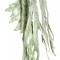 Set 12 plante artificiale 77 cm