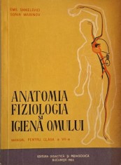Anatomia, fiziologia si igiena omului. Manual pentru clasa a VII-a - Emil Sanielevici, Sonia Marinov