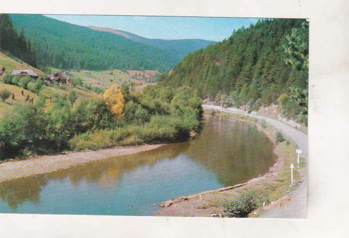 bnk cp Valea Bistritei linga Vatra Dornei - Vedere - necirculata