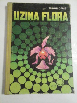 UZINA FLORA - TUDOR OPRIS foto