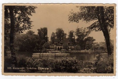 BUCURESTI GRADINA CISMIGIU RESTAURANT CU TERASA foto