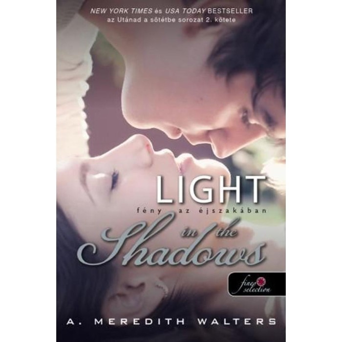 Light in the Shadows - F&eacute;ny az &eacute;jszak&aacute;ban - Ut&aacute;nad a s&ouml;t&eacute;tbe 2. - A. Meredith Walters