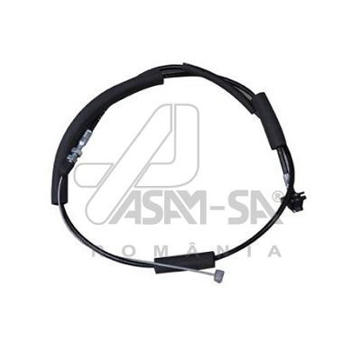 Cablu Acceleratie 539563 30643