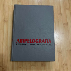 AMPELOGRAFIA RPR - VOL. 5 - VITICULTURA - 1962