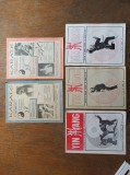 YIN YANG + KARATE *** LOT 5 REVISTE KARATE SI QWAN-KI-DO , ANII &#039;90