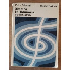 Muzica in Romania socialista- Petre Brancusi, Nicolae Calinoiu
