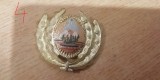 QW14 - Emblema militara / cuc - uscat - comunism - piesa de colectie