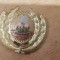 QW14 - Emblema militara / cuc - uscat - comunism - piesa de colectie