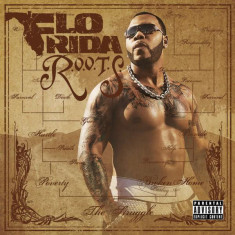 CD Flo Rida &amp;lrm;&amp;ndash; R.O.O.T.S. Route Of Overcoming The Struggle (EX) foto