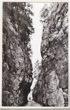 Bnk cp Cheile Dambovicioarei - Vedere - circulata, Printata, Arges