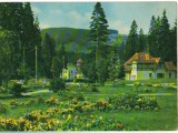 CPIB 15222 - CARTE POSTALA - BORSEC. VEDERE DIN STATIUNE, RPR, Circulata, Fotografie