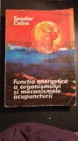 Teodor caba functia energetica a organismului si mecanismele acapuncturii /0245