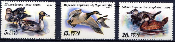 C1005 - Rusia 1991 - Pasari 3v.neuzat,perfecta stare