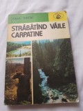 Paul decei-strabatand vaile carpatime