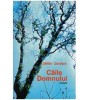 Stefan Daraban - Caile Domnului - roman - 126609