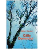 Stefan Daraban - Caile Domnului - roman - 126609