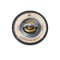 NRF 725156 EASY FIT termostat,lichid racire