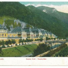 5415 - Baile HERCULANE, Caras-Severin, Romania - old postcard - unused