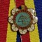 SV * Insigna CUPA TINERETULUI la Schi * 1976