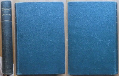P. Nemoianu, Amintiri, 1939, editia 1 cu autograf catre T. Tanasescu; primul razboi mondial foto
