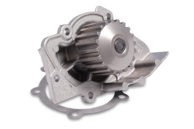 HEPU P841 Pompă de apă, răcire motor foto