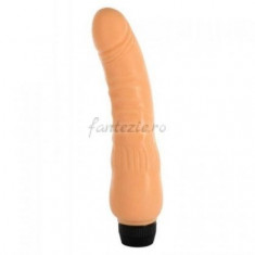 VIBRATOR REALIST VINYL P-SHAPE -20CM foto