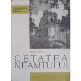 CETATEA NEAMTULUI-RADU POPA-260644