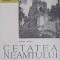 CETATEA NEAMTULUI-RADU POPA-268558