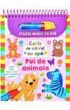 Stiloul magic cu apa. Carte de colorat cu apa: Pui de animale