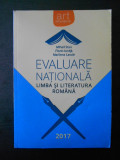 MIHAIL STAN - EVALUAREA NATIONALA. LIMBA SI LITERATURA ROMANA (2017)