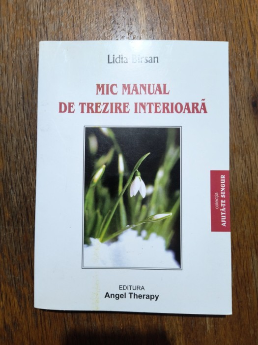 Mic manual de trezire interioara - Lidia Birsan, autograf / R6P4F