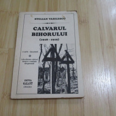 STELIAN VASILESCU--CALVARUL BIHORULUI - 1994