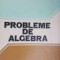 Probleme de algebra-Ion D.Ion ,C,Nita