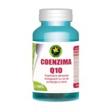 Coenzima Q10 60cps Hypericum, Hypericum Plant