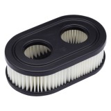 Cumpara ieftin Filtru Aer Briggs - Stratton Quantum