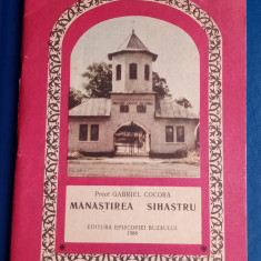 Mănăstirea Sihastru - Gabriel Cocora