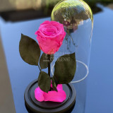 Trandafir Criogenat ciclam &Oslash;6,5cm in cupola de sticla 10x20cm