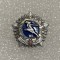 Insigna rusia