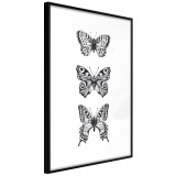Cumpara ieftin Poster - Butterfly Collection III, cu Ramă neagră, 40x60 cm