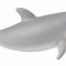 Figurina pui de delfin bottlenose s collecta