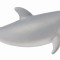 Figurina Pui de Delfin Bottlenose S Collecta