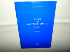 Atlas de anatomie umana -Osteologie -Fascicula I -Dr.Trandafir Traian foto