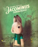 Fabuloasele ore ale lui Jacominus Gainsborough - Hardcover - Rebecca Dautremer - Vellant