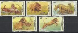 DR CONGO 2002 FAUNA ANIMALE SALBATICE LEI