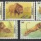 DR CONGO 2002 FAUNA ANIMALE SALBATICE LEI