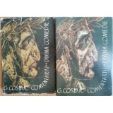 Comentariu la Divina Comedie (2 vol.) &ndash; George Cosbuc