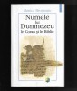 Monica Brosteanu - Numele lui Dumnezeu in Coran si in Biblie, ed. Polirom, 2005, Carti crestinism
