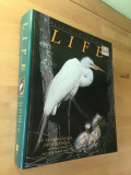 CARTE STIINTA: Life - An Introduction to Biology Third Edition [1991] [ENG]